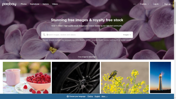 fotografie pro email marketing zdarma